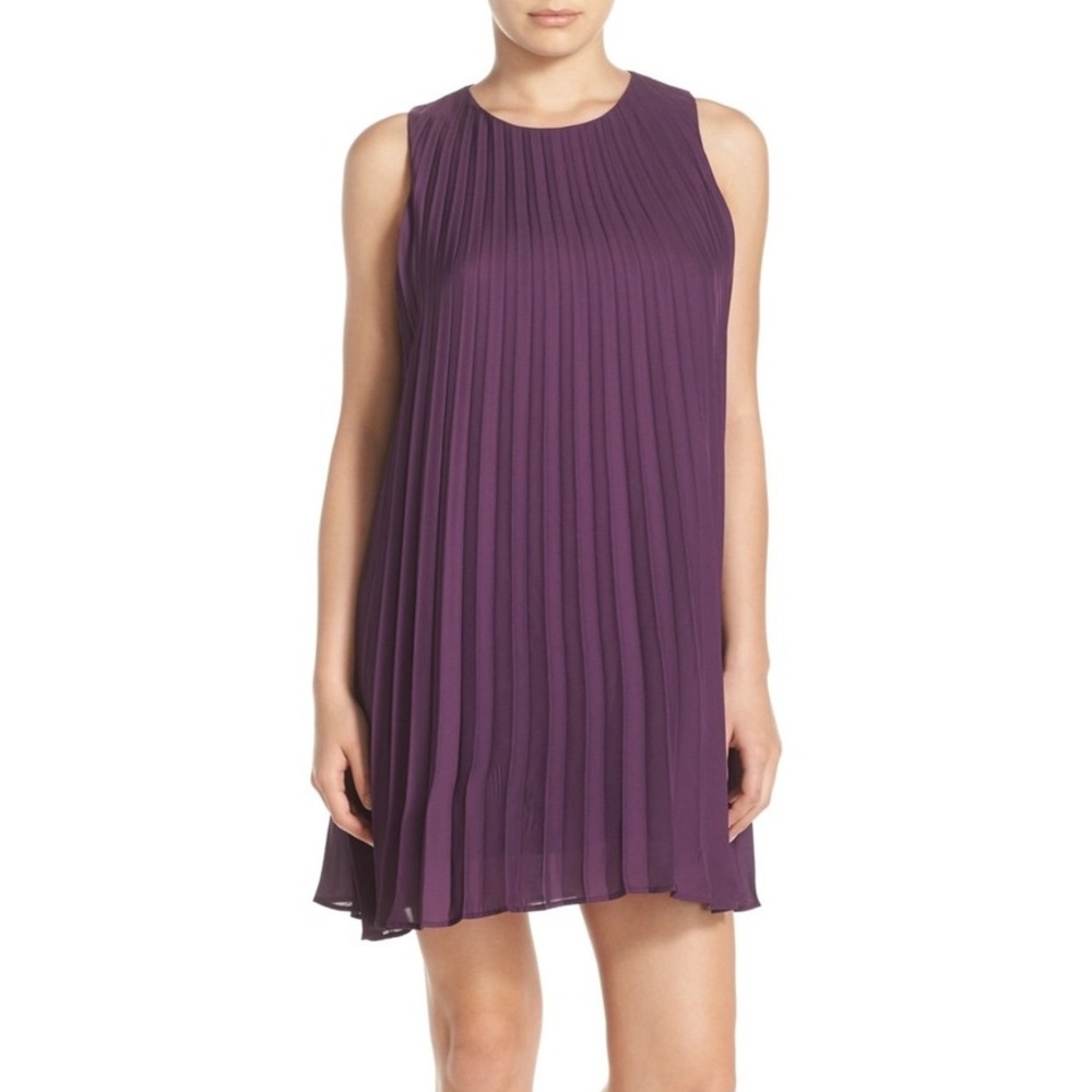 NWT BB Dakota Pleated Lined Dress